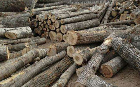 木材加工厂木材防腐处理