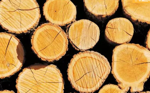 木材加工厂木材开裂的原因