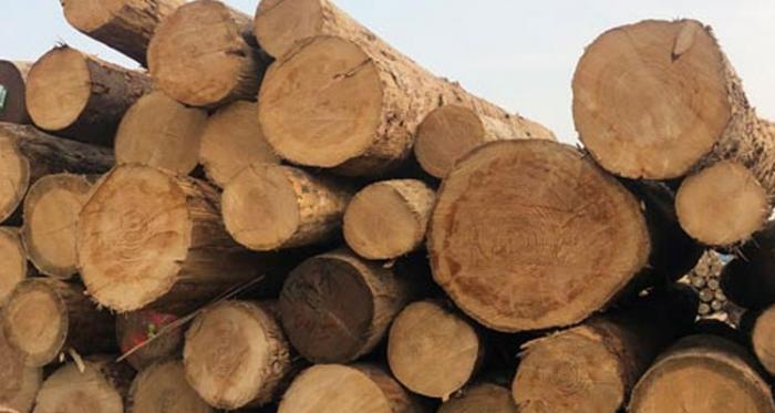 木材加工厂都有哪些木材干燥方法
