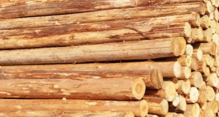木材加工厂对不同的木方有哪些加工工艺呢